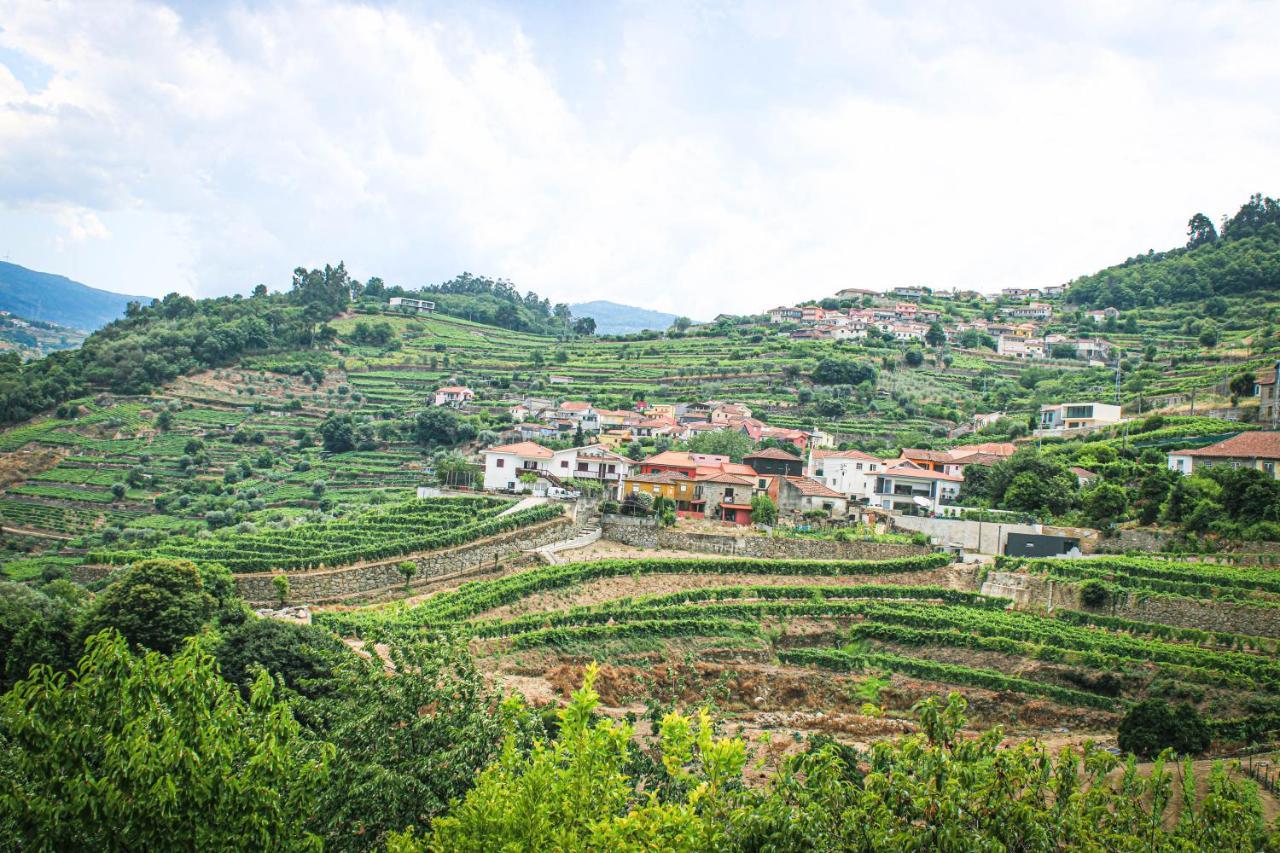 Casa Avos D'Ouro - Barqueiros, Mesao Frio, Douro Villa Bagian luar foto